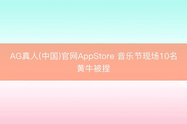 AG真人(中国)官网AppStore 音乐节现场10名黄牛被捏