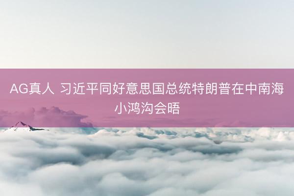 AG真人 习近平同好意思国总统特朗普在中南海小鸿沟会晤