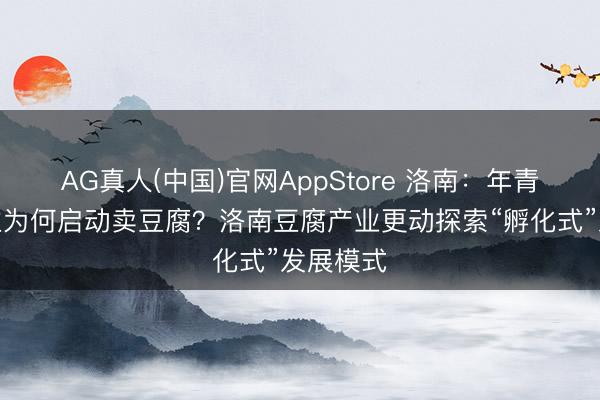 AG真人(中国)官网AppStore 洛南：年青东说念主为何启动卖豆腐？洛南豆腐产业更动探索“孵化式”发展模式