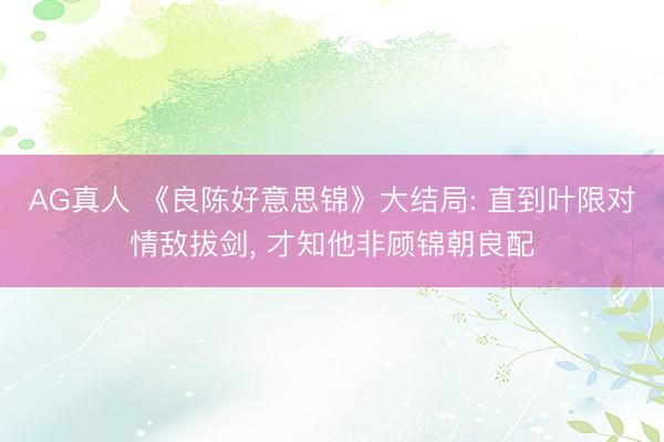 AG真人 《良陈好意思锦》大结局: 直到叶限对情敌拔剑， 才知他非顾锦朝良配