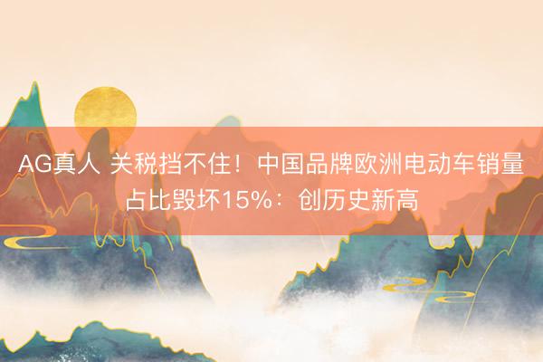AG真人 关税挡不住！中国品牌欧洲电动车销量占比毁坏15%：创历史新高