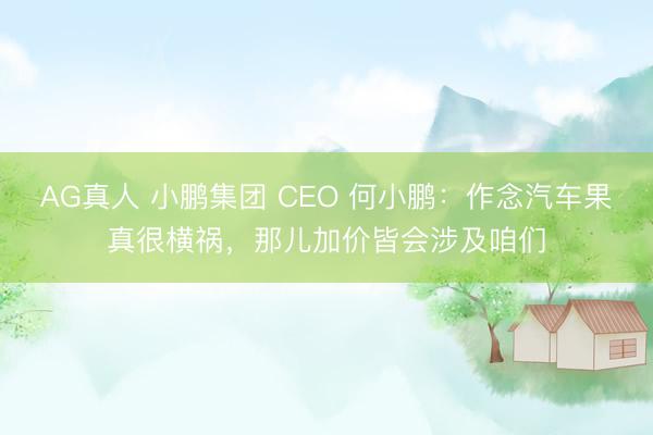 AG真人 小鹏集团 CEO 何小鹏：作念汽车果真很横祸，那儿加价皆会涉及咱们
