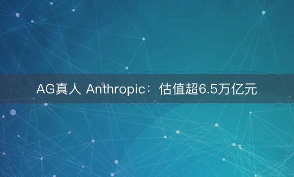 AG真人 Anthropic：估值超6.5万亿元