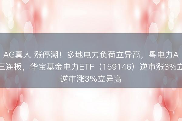 AG真人 涨停潮！多地电力负荷立异高，粤电力A斩获三连板，华宝基金电力ETF（159146）逆市涨3%立异高