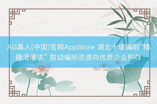 AG真人(中国)官网AppStore 湖北十堰编削“精确滴灌法” 鼓动编削资源向优质企业积存
