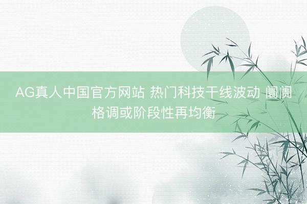 AG真人中国官方网站 热门科技干线波动 阛阓格调或阶段性再均衡